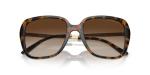 Michael Kors Albany Sunglasses, Dark Tortoise/Brown Gradient