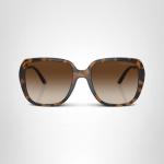 Michael Kors Albany Sunglasses, Dark Tortoise/Brown Gradient