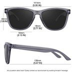 Classic Retro Polarized Sunglasses for Men & Women