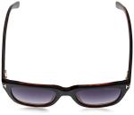 Tom Ford Snowdon Black Havana/Grey Sunglasses