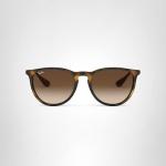 Ray-Ban RB4171 Multicolor Unisex Sunglasses