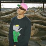 BluBlocker Black Viper Sunglasses - 100% Blue Light Protection