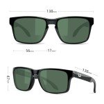 Bnus Italy Classic Polarized Sunglasses - Black/G-15
