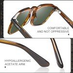 CARFIA Polarized Retro Panto Sunglasses for Men