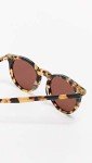 Illesteva Sterling Tortoise Brown Sunglasses