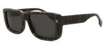 Burberry Jarvis Charcoal Check Sunglasses BE 4376 U