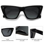 Chic Black Cat Eye Polarized Sunglasses for Women