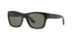Ray-Ban RB4194 Polarized Square Sunglasses - Black