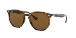 Ray-Ban RB4306 Hexagonal Polarized Sunglasses