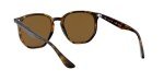 Ray-Ban RB4306 Hexagonal Polarized Sunglasses