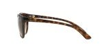 Ray-Ban Emma Cat-Eye Sunglasses in Light Havana