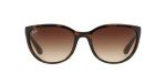 Ray-Ban Emma Cat-Eye Sunglasses in Light Havana