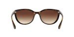 Ray-Ban Emma Cat-Eye Sunglasses in Light Havana
