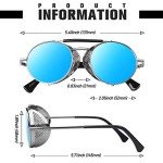 Retro Round Polarized Steampunk Sunglasses for All