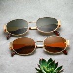 Trendy 2 Pack Oval Retro Sunglasses for Women