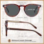 Men's Retro Polarized Round Sunglasses with UV Protection