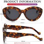 Chic Tortoise Oversized Cat Eye Sunglasses