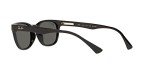 Ray-Ban Wayfarer Polarized Green Sunglasses, Black
