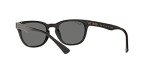 Ray-Ban Wayfarer Polarized Green Sunglasses, Black