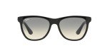 Ray-Ban RB4184 Square Sunglasses in Black Gradient