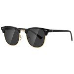 AEVOGUE Retro Polarized Sunglasses - Matte Black