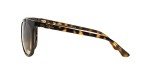 Ray-Ban Women’s RB4126 Cats 1000 Sunglasses