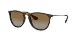 Ray-Ban Erika Women's Sunglasses in Light Havana