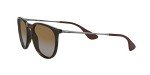 Ray-Ban Erika Women's Sunglasses in Light Havana