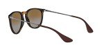 Ray-Ban Erika Women's Sunglasses in Light Havana