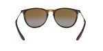 Ray-Ban Erika Women's Sunglasses in Light Havana