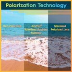 Matecumbe Polarized Tortoise Frame Sunglasses