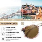 Chic Polarized Pink Tortoise Sunglasses for Women