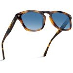 WearMe Pro Retro Polarized Men's Sunglasses