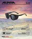 ALPINA Black Matte Oval Designer Sunglasses