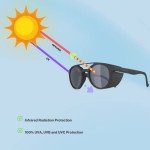 ALPINA Black Matte Oval Designer Sunglasses