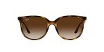 Ray-Ban Women's Havana Square Sunglasses, 54 mm