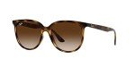 Ray-Ban Women's Havana Square Sunglasses, 54 mm