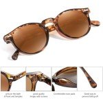 Retro Polarized Round Sunglasses for Women