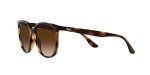 Ray-Ban Women's Havana Square Sunglasses, 54 mm