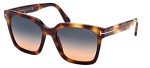 Tom Ford Selby Blonde Havana Green Sunglasses