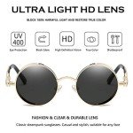 Dollger Retro Round Gold Metal Sunglasses