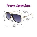 Men's Gobiger Aviator Sunglasses - UV Protection & Case