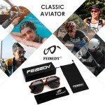FEISEDY Vintage Double Bridge Aviator Sunglasses