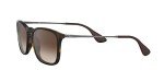 Ray-Ban Women's Chris Square Sunglasses, Rubber Havana
