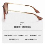 Ray-Ban RB4171 Erika Classic Sunglasses Bundle