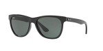 Ray-Ban RB4184 Black/Green Square Sunglasses