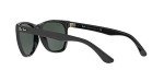 Ray-Ban RB4184 Black/Green Square Sunglasses