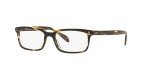Oliver Peoples Denison Sunglasses in Cocobolo 51
