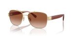 COACH Women's Shiny Gold Brown Aviator Sunglasses