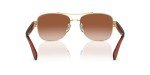 COACH Women's Shiny Gold Brown Aviator Sunglasses